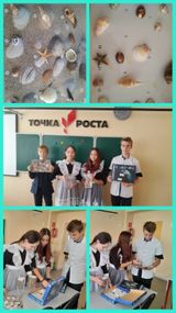 14.10.2025года в 8 классе прошла практическая работа по биологии «Изучение покровов тела у животных». 